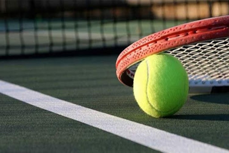 Tenis Nedir?