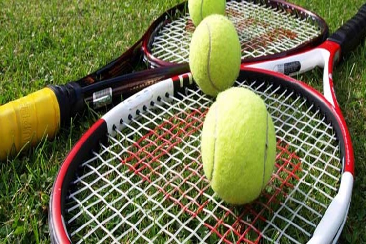 Tenis Nedir?