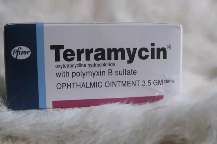 Terramycin Tüylenme Yapar Mı?