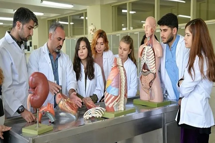 Tıp Öğrencileri Kaç Yıl Okur?