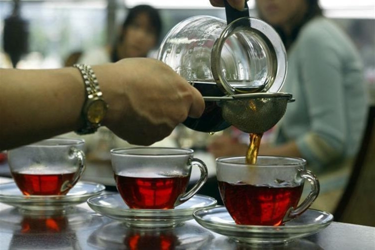 Tomurcuk Çay Nasıl Toplanır?