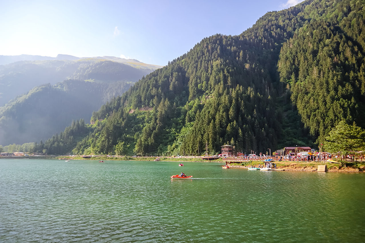 Trabzon Beşikdüzü’nün 2023 Nüfusu Kaçtır?
