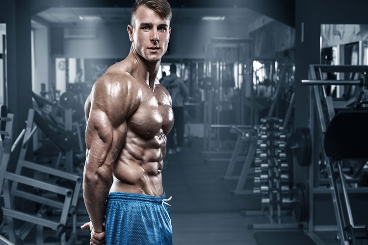 Triceps Hakkında Merak Edilenler