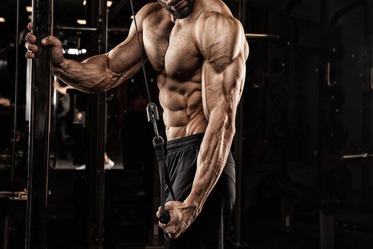 Triceps Ne İçin Kullanılır?