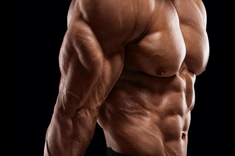 Triceps Nedir?