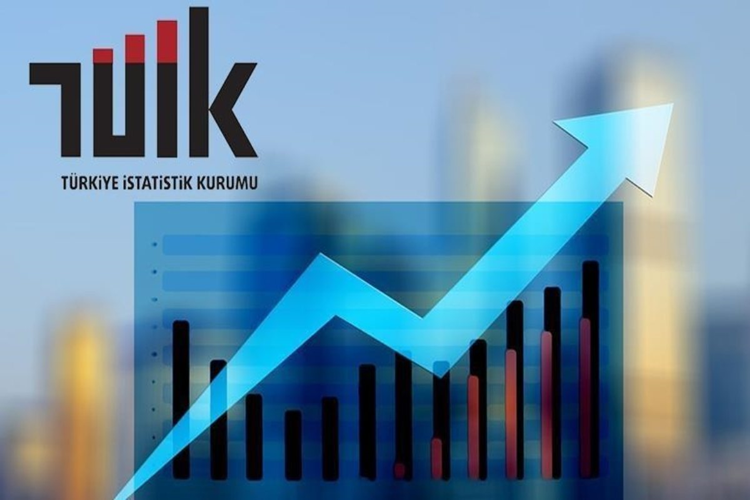 TÜİK Nedir?