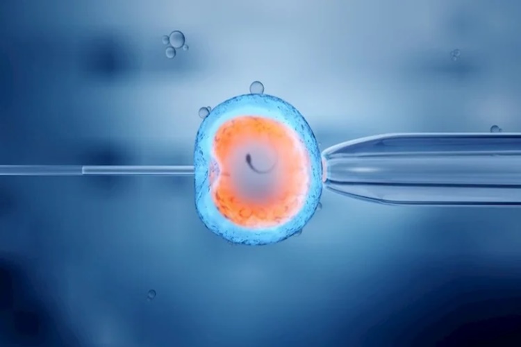 Tüp Bebek Sonrası Dikkat Edilmesi Gerekenler Nedir?