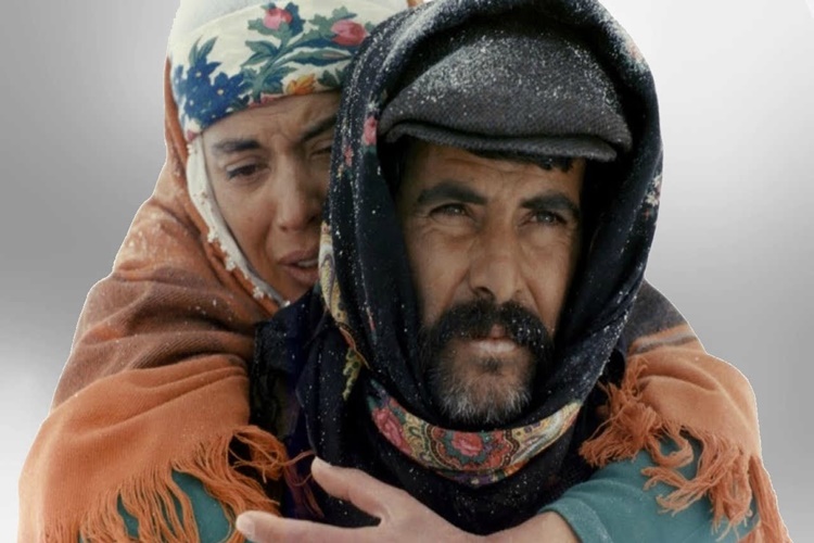 Türk Sineması Gelişimi İle İlgili Bilgiler