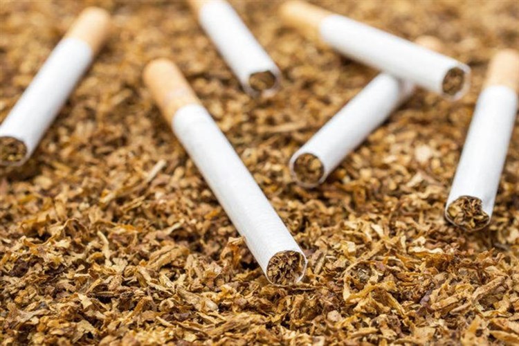 Tütün Uzun Süre Nasıl Saklanır?