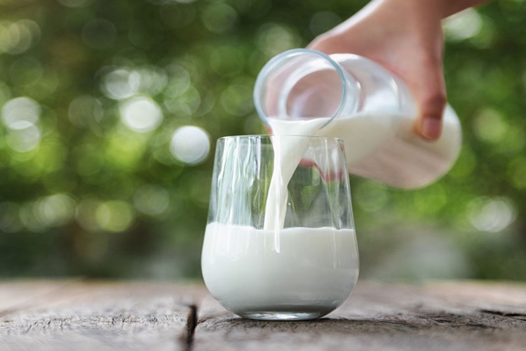 Uht Süt Kaç Günde Bozulur?