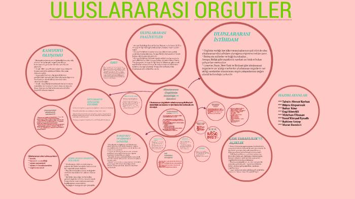 Uluslararası Örgütler Kaça Ayrılır?