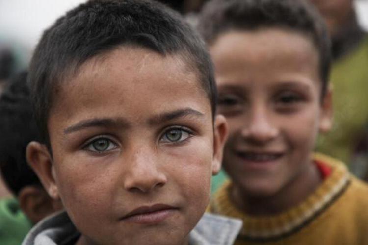 UNICEF Başvurusu Nasıl Yapılır?