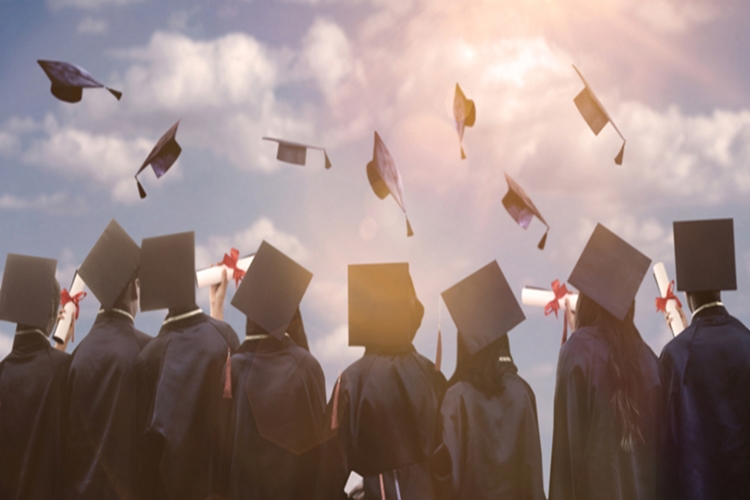 Üniversite Diplomamı Kaybettim Ne Yapmalıyım?