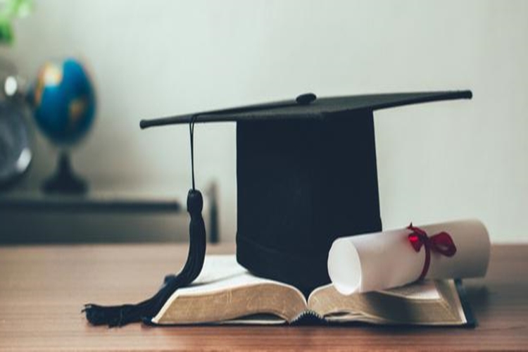 Üniversite Diploması İşe Yarıyor Mu?