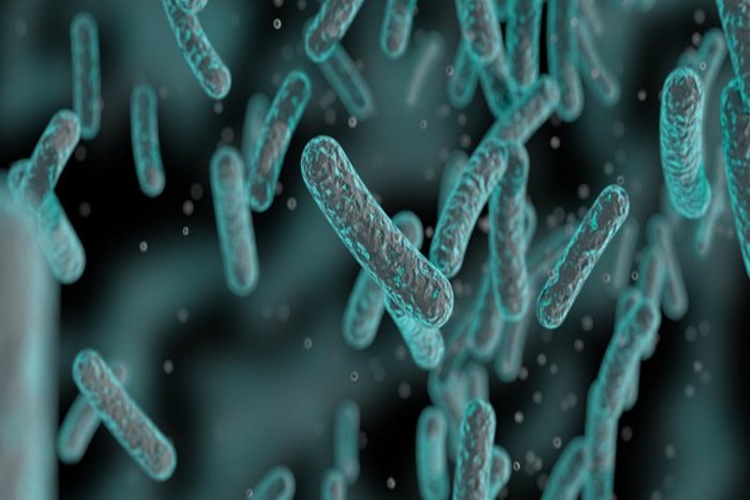 Ureaplasma Kaşıntı Yapar Mı?