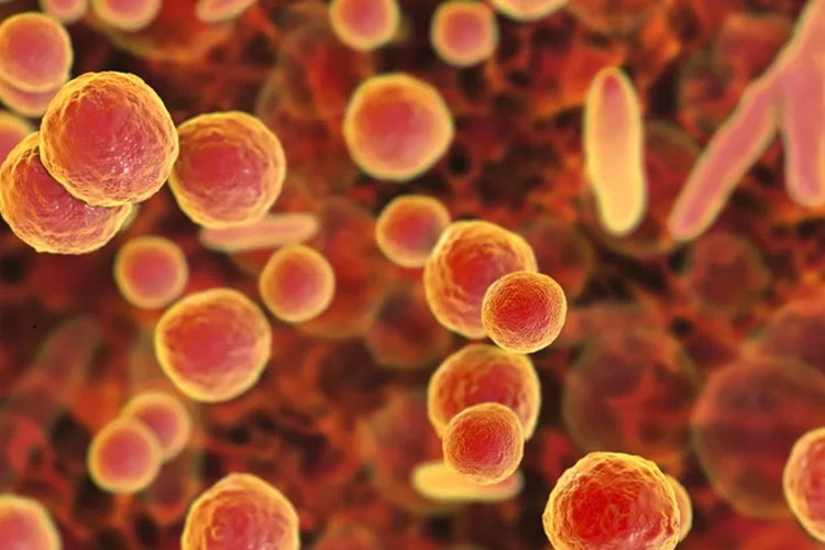 Ureaplasma Tedavisi Ne Kadar Sürer?