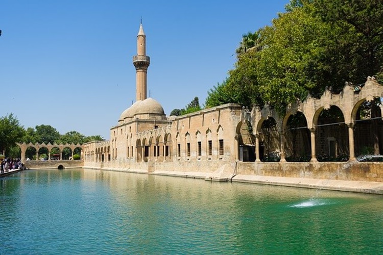 Urfa Balıklı Gölde Hangi Balık Var?