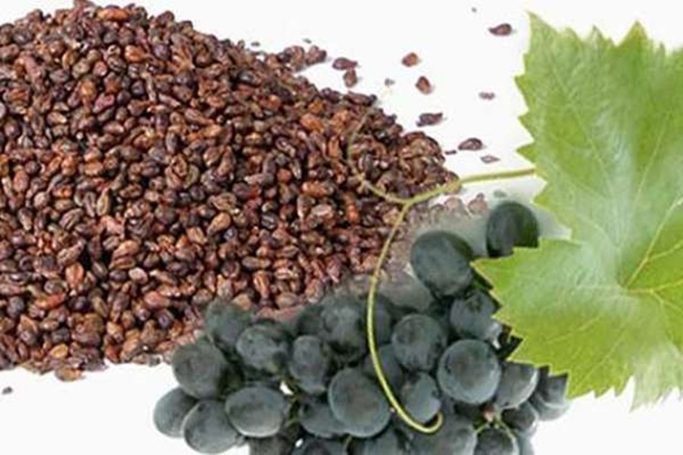 Üzüm Çekirdeği Nerede Satılır?