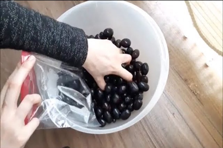 Üzüm Derin Dondurucuya Konur Mu?