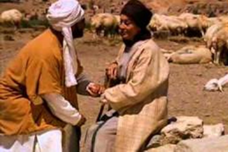 Veysel Karani Lakabı Nedir?