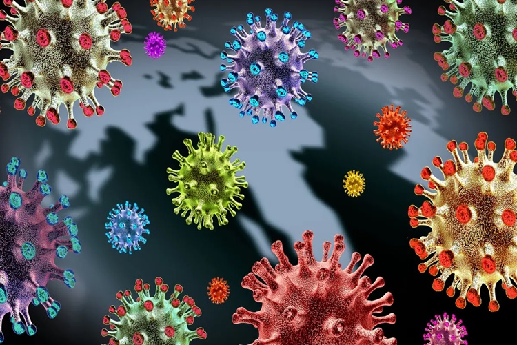 Virüsler Neden Antibiyotiklerden Etkilenmez?