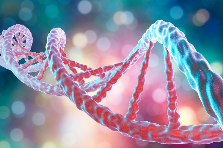 Virüste DNA Olur Mu?