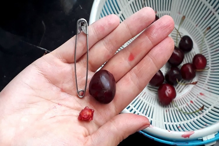 Vişne Çekirdeği Nasıl Çıkarılır?