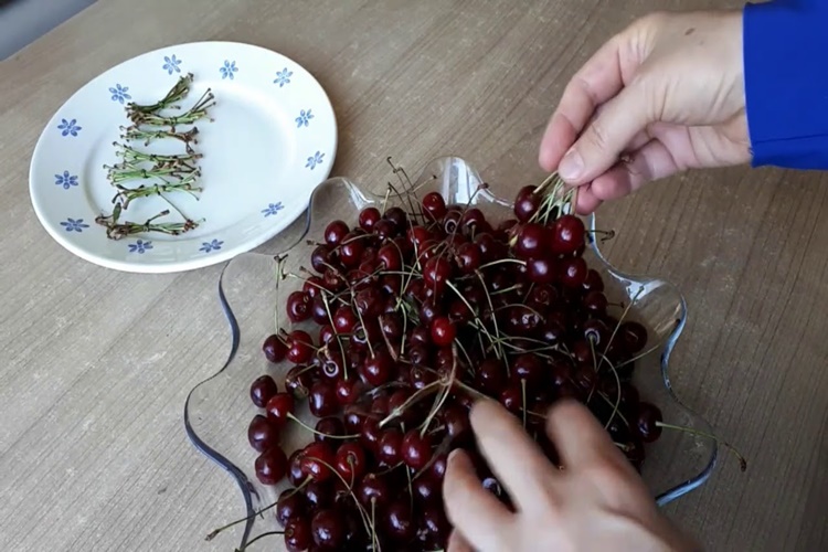 Vişne Sapı Nasıl Kurutulur?