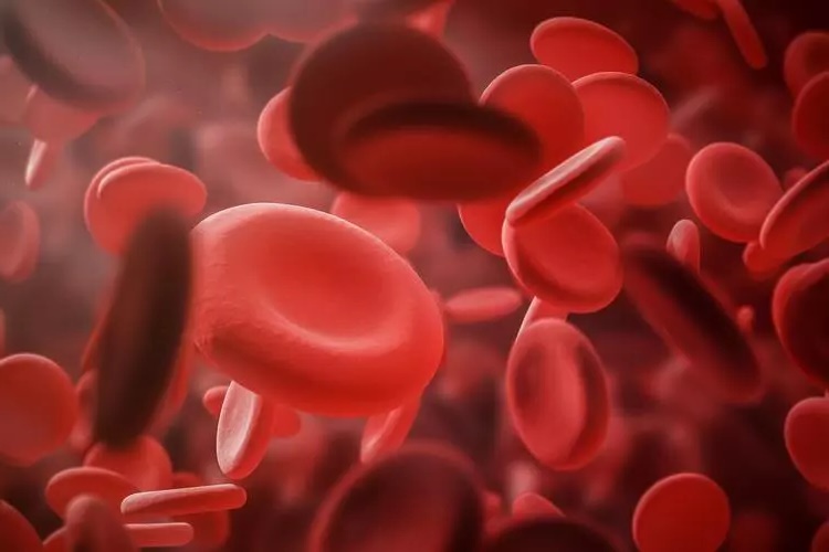 Vitamin Eksikliği Anemisi Nedir?