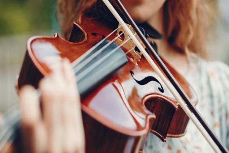 Viyola Tarihi Hakkında Bilgiler 