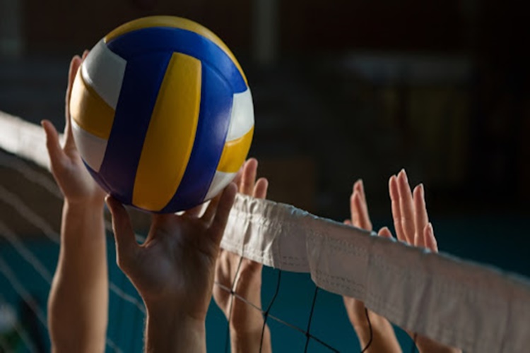 Voleybol Lisansı Ne İşe Yarar?
