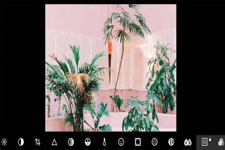 VSCO Nasıl Türkçe Yapılır?