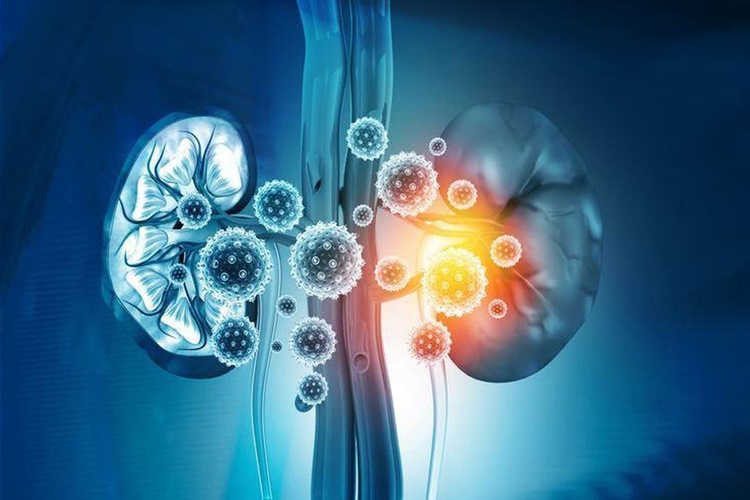 Vücutta En Hızlı Büyüyen Organ?