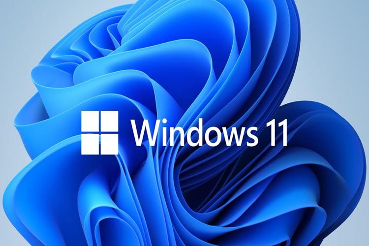 Windows 11 Ekran Görüntüsü Nasıl Alınır?