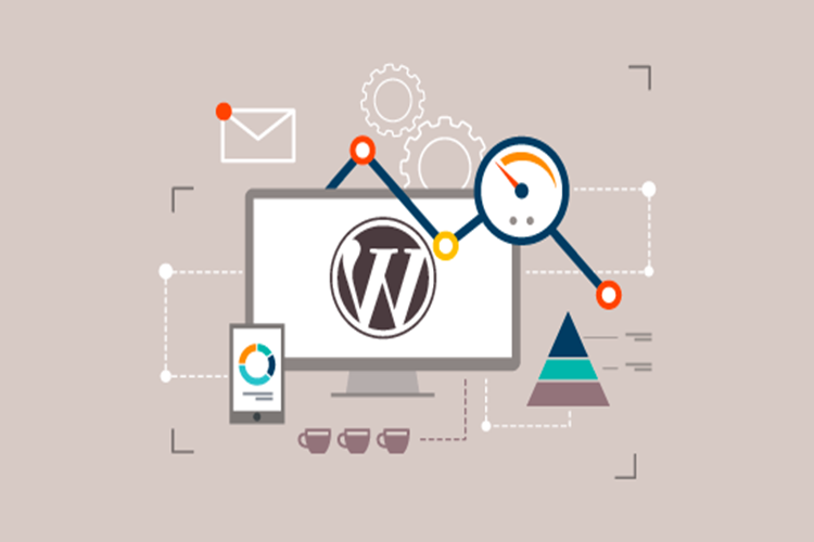 WordPress İle Para Kazanmak Hangileri?