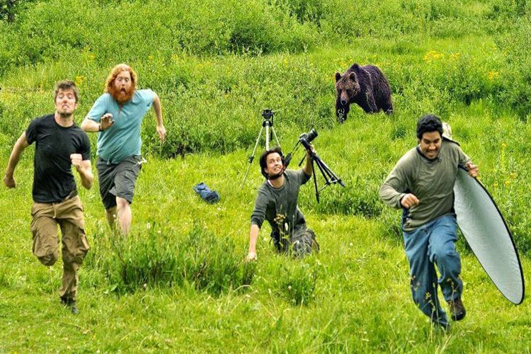Yaban Hayatı Fotoğrafçılığı Hakkında Merak Edilen Bilgiler