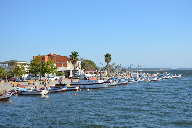 Yalova Altınova’nın 2023 Nüfusu Kaçtır?
