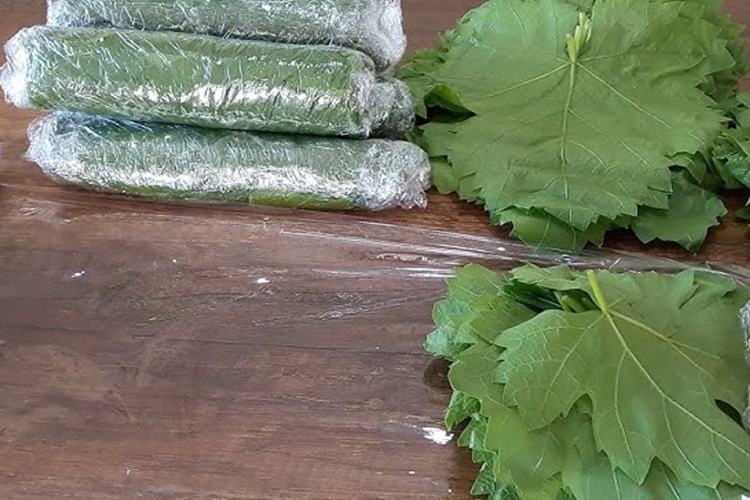 Yaprak Haşlanmadan Buzluğa Konur Mu?