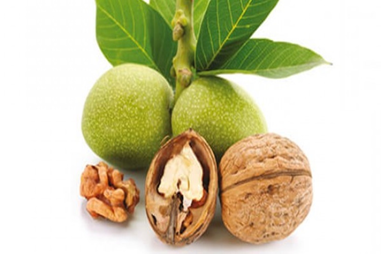 Yaş Ceviz Nasıl Kurutulur?