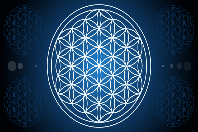 Yaşam Çiçeği Anlamı Nedir?