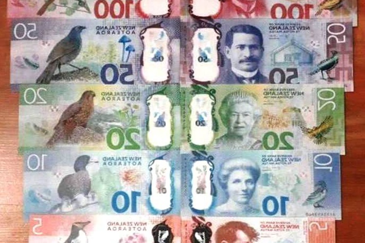 Yeni Zelanda Doları Kaç TL?