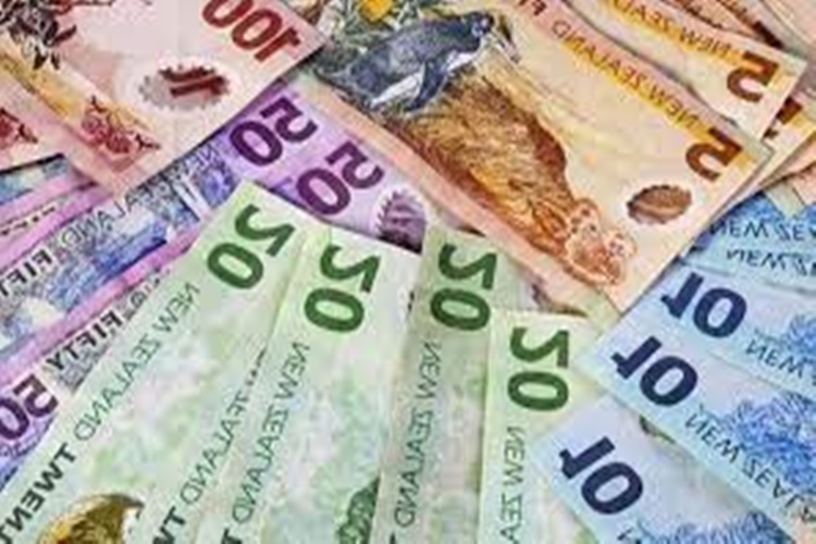 Yeni Zelanda Doları Özellikleri Nelerdir?