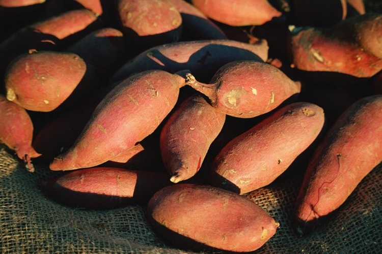 Yer Elmasının Kimler Yiyemez?