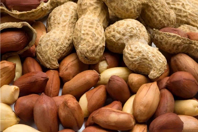 Yer Fıstığı Tohumu Nasıl Ekilir?