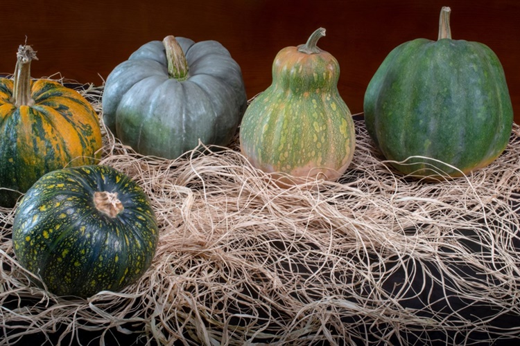 Yeşil Kabak Bozulur Mu?