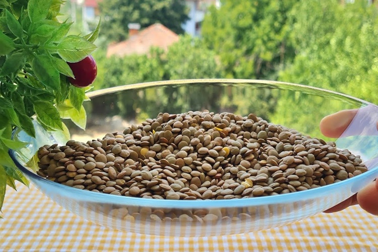 Yeşil Mercimek Kan Sulandırır Mı?