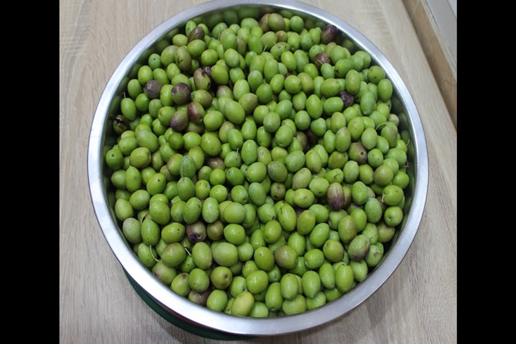 Yeşil Zeytin Bozulur Mu?