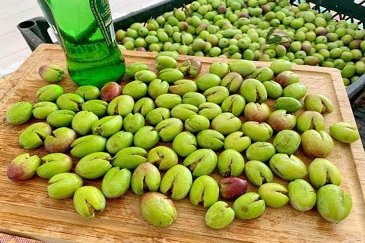 Yeşil Zeytin Evde Nasıl Yapılır?