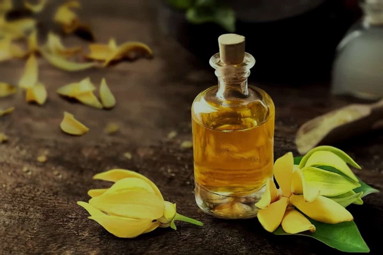 Ylang Ylang Yağı Cinsel Organa Sürülür Mü?