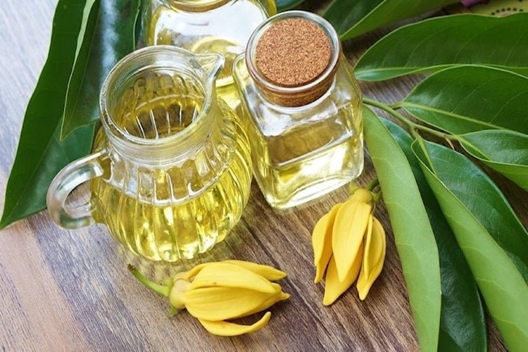  Ylang Ylang Yağı Saç Çıkarır Mı?